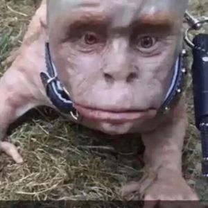 Meet your Posher, Miles